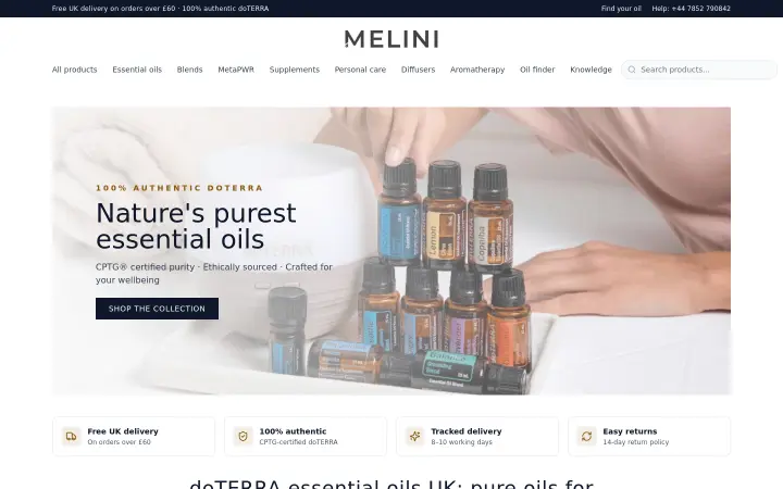 Web de Melini, versión en inglés, vista de escritorio