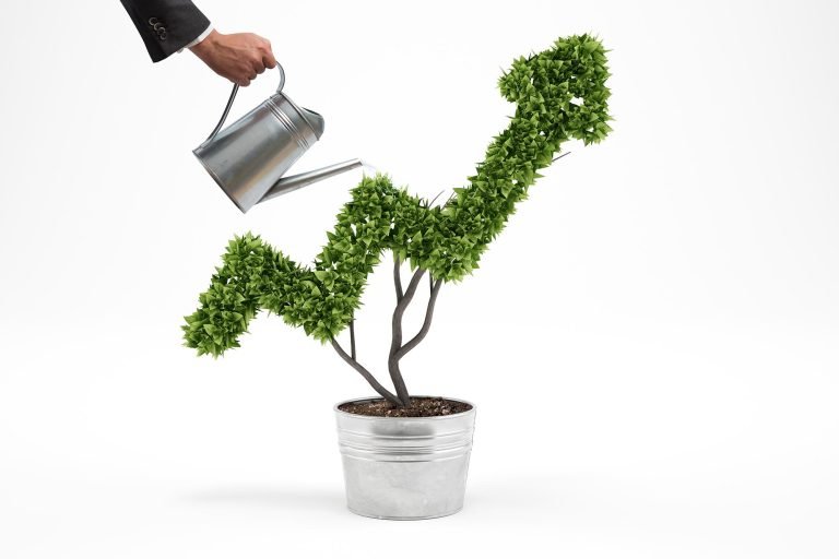 seo roi